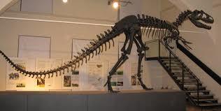 Civic Museum of Natural Sciences in Bergamo